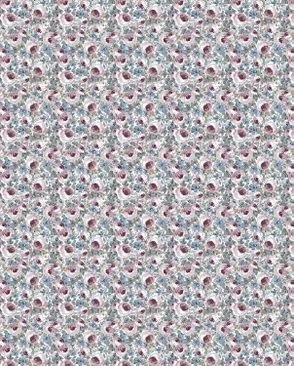 Середа (Ситец сорочечный) арт. СС-89-1-Б00659.003